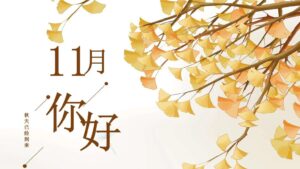 11月祝福的句子_11月极简文案