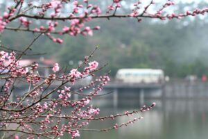 清明节暖心句子_清明节走心句子