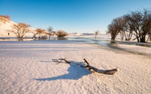 咏雪诗词有哪些_16首经典咏雪诗词