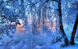 下雪天最深情的诗句有哪些_下雪天最深情的古诗