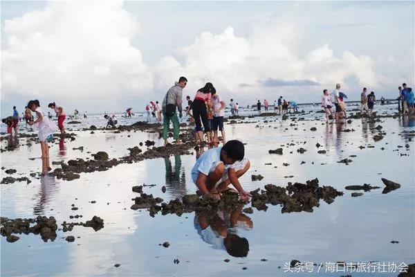 海南少数民族有哪些节日_海南少数民族的节日