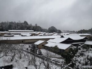 为啥最近南方老下雪