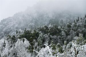 为啥最近南方老下雪