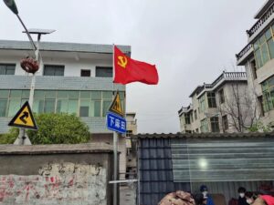 【抗疫一线】双林镇：党建引领筑堡垒，齐心抗疫显担当