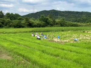 双林镇姜源村：“姜”心比心促就业 “源”头活水惠民生