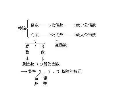 互质数的概念，互质数的判断方法