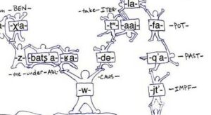 世界语系简介_世界语系分类