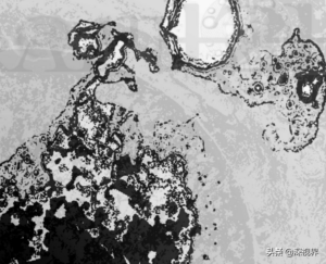 地下2800米有什么_地下2800米有生物吗