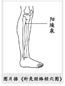 立冬是几月几日_立冬养生知识