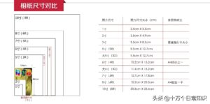 照片尺寸对照表及价格_证件照片尺寸对照表