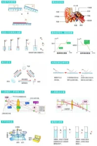 初二物理复习资料_初二物理知识要点