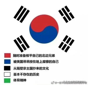 韩国球员误踩国旗被网暴