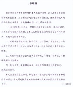 国美电器否认被破产清算 申请方回应