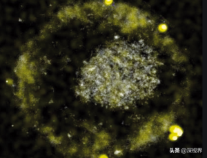 地下2800米有什么_地下2800米有生物吗