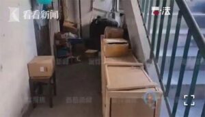 女子养10多只猫臭到邻居不敢开窗