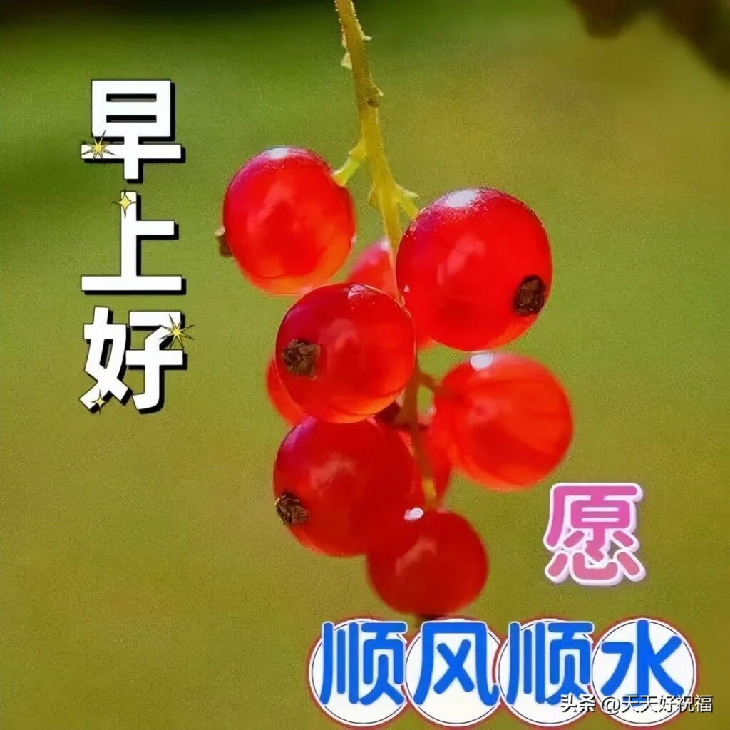 早安问候语_早安祝福语