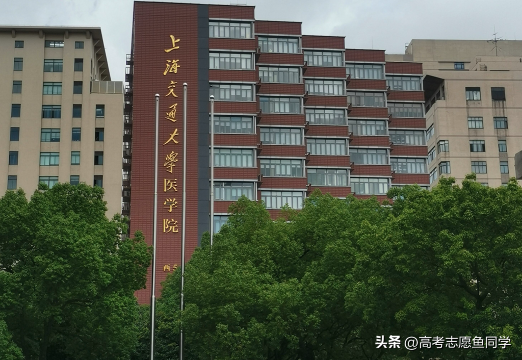 儿科学专业哪家强_实力强的5所医科大学