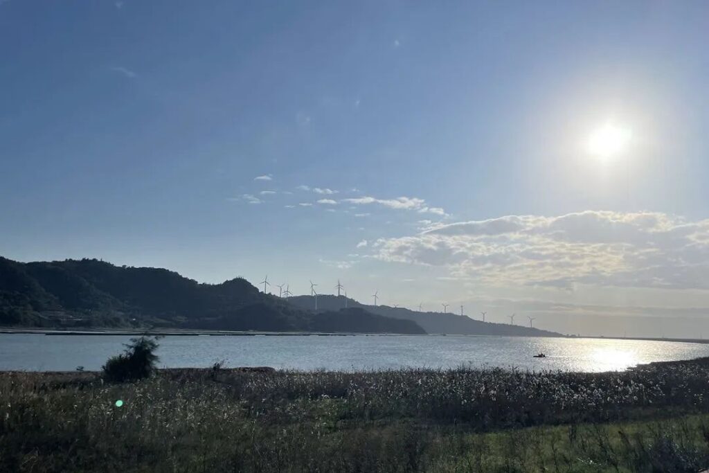 温州洞头：看梦幻海湾芦苇飘荡 邂逅冬日里的浪漫