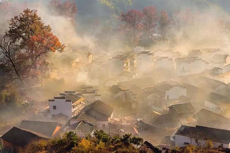 江西婺源：遇见别样的“四绝”冬景