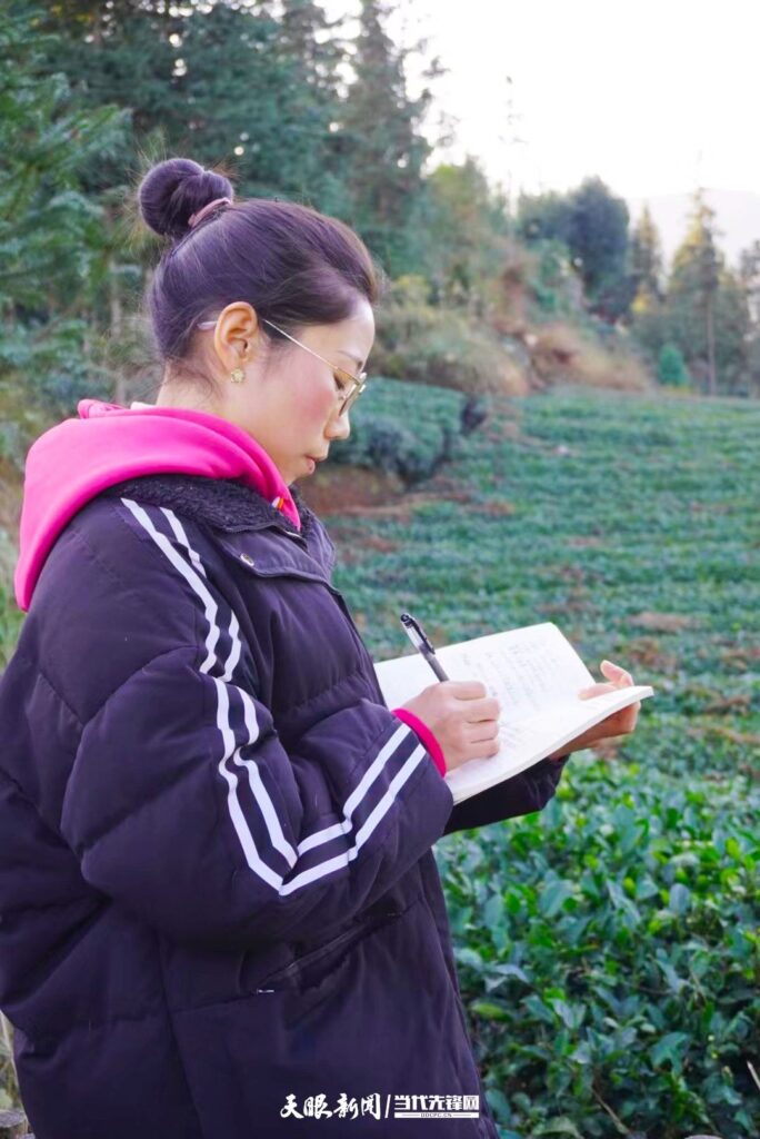 盛开在贵州普安茶山上的“四朵金花”