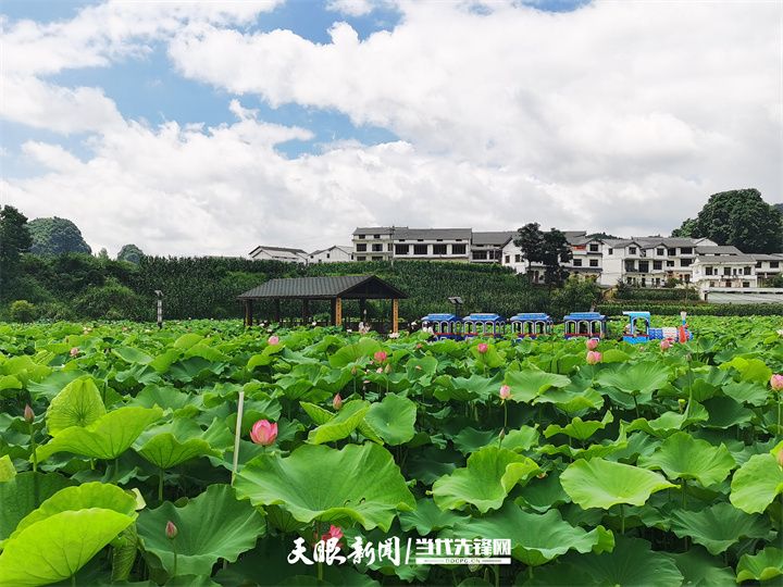 安顺普定：东西部协作助力“三美”乡村建设