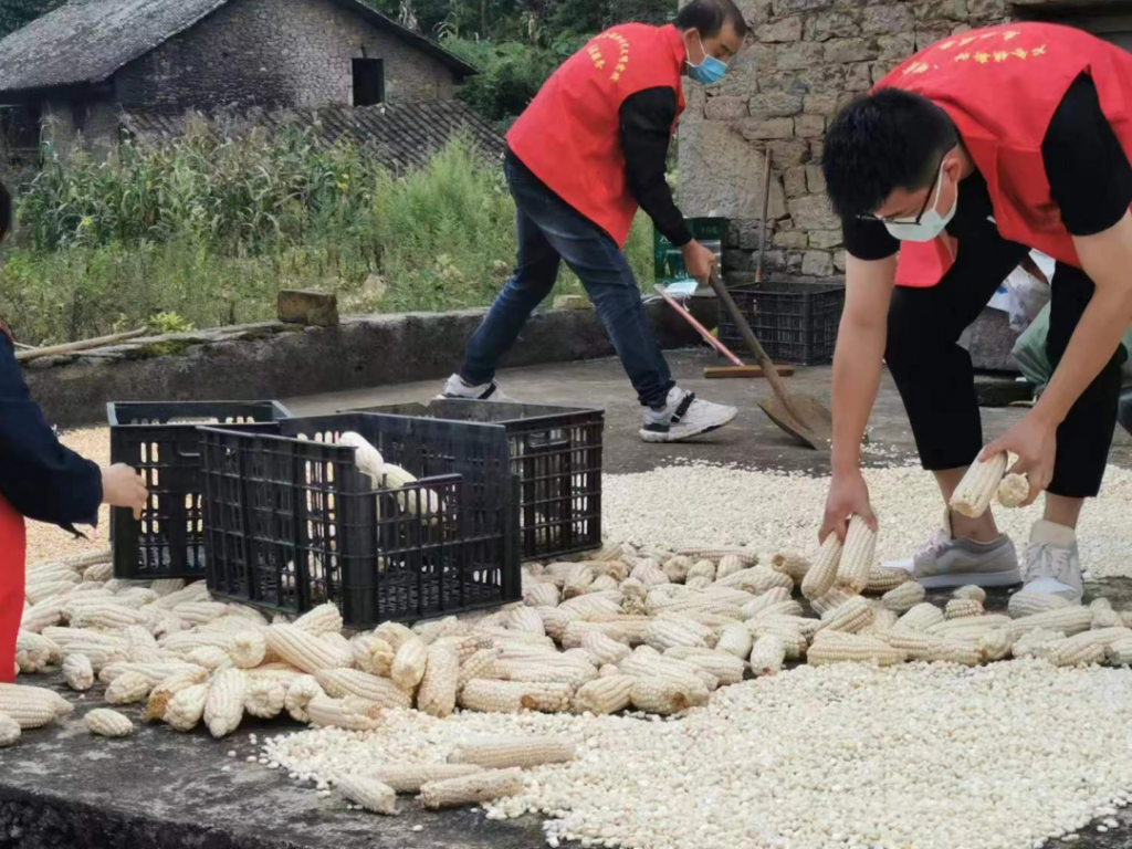 贵州兴义：“三雁”工程为乡村振兴赋能