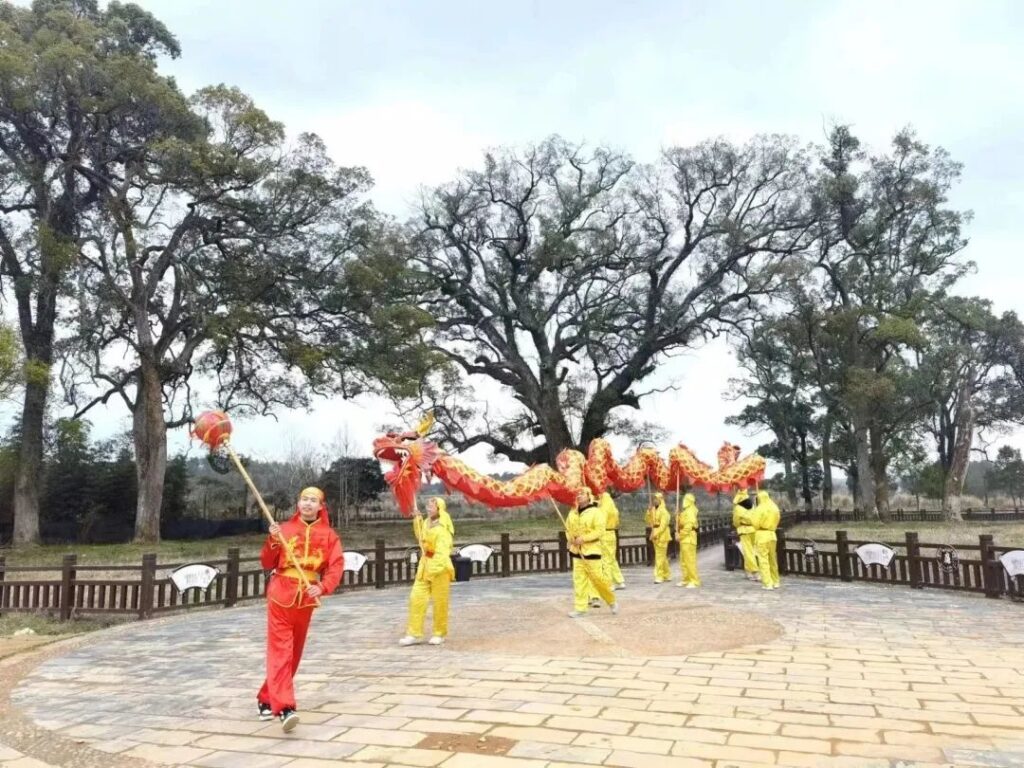 防里非遗舞龙迎新年