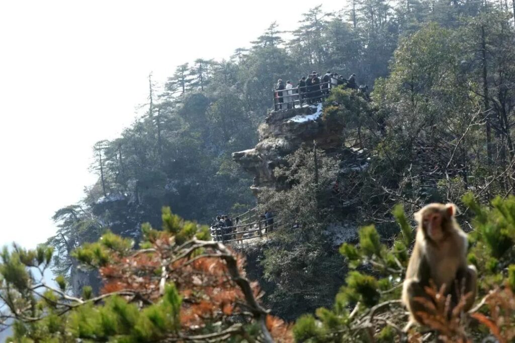 收藏！春节假期景区优惠活动名单来了