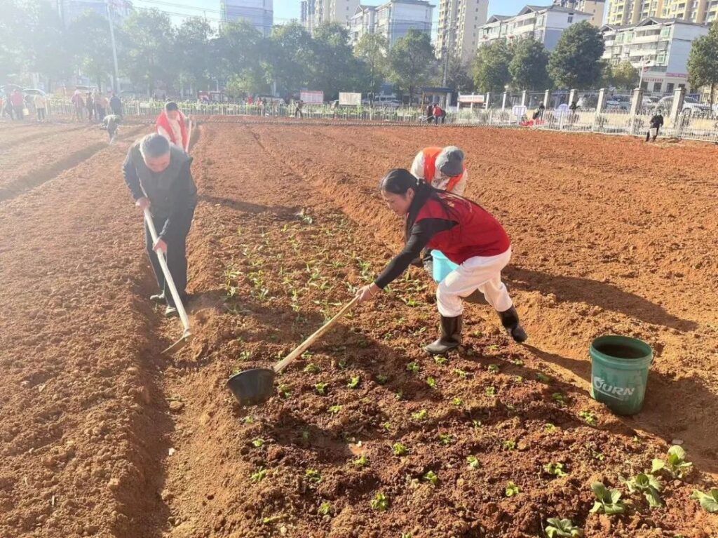 美了环境，暖了人心！我县这里的小菜园种出“大民生”