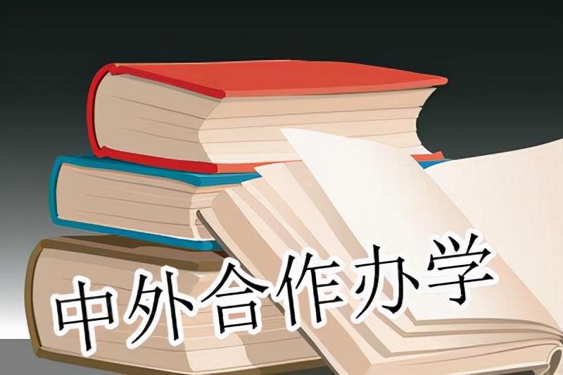 中外合作办学值得上吗_中外合作办学值不值得上