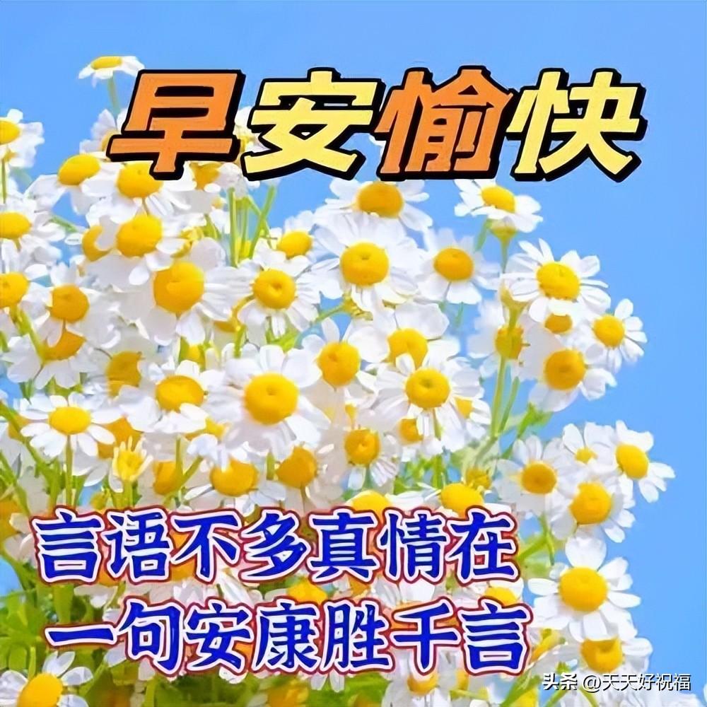 早安问候语_早安祝福语