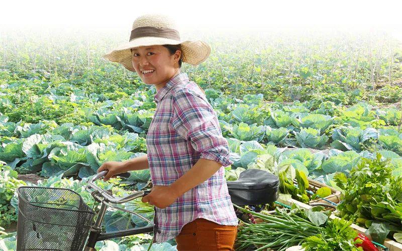 种什么农作物最赚钱_农村种植什么赚钱