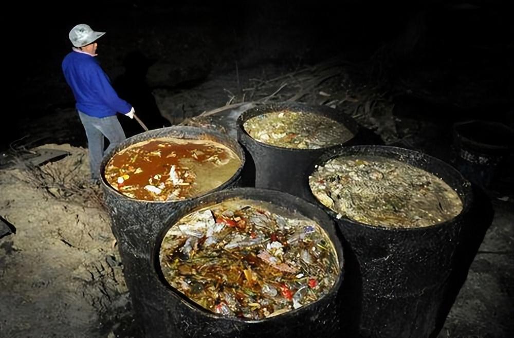 方便面是垃圾食品吗_这2种垃圾食品不建议吃