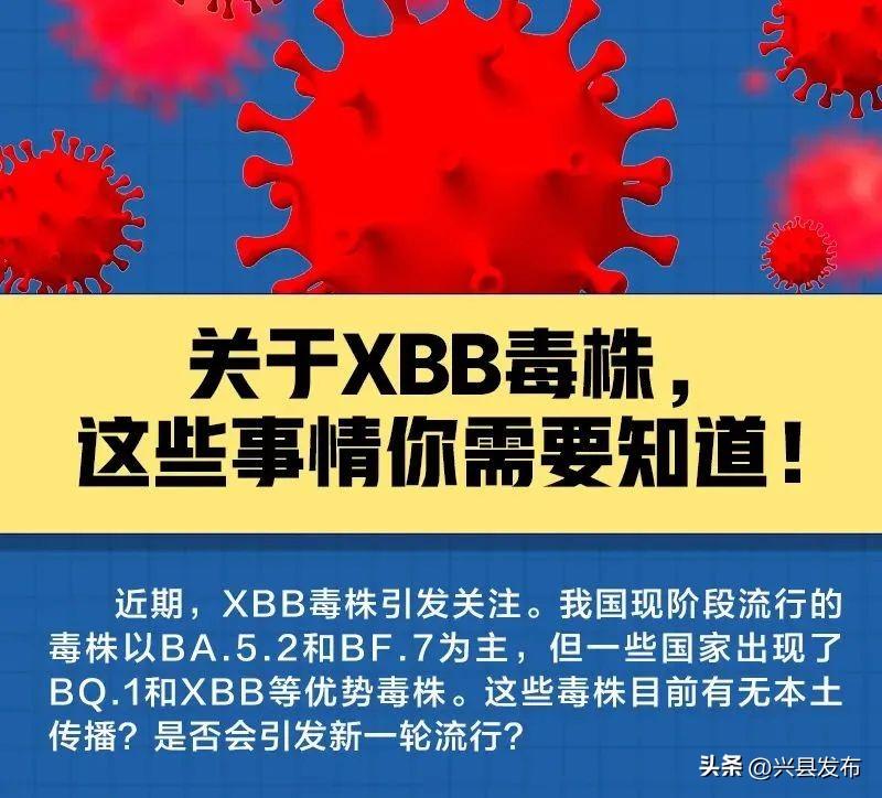 再次感染XBB几率大吗_关于XBB毒株