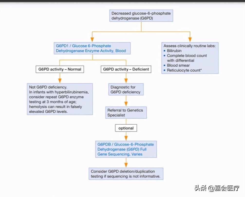 蚕豆病是什么病_如何发现蚕豆病