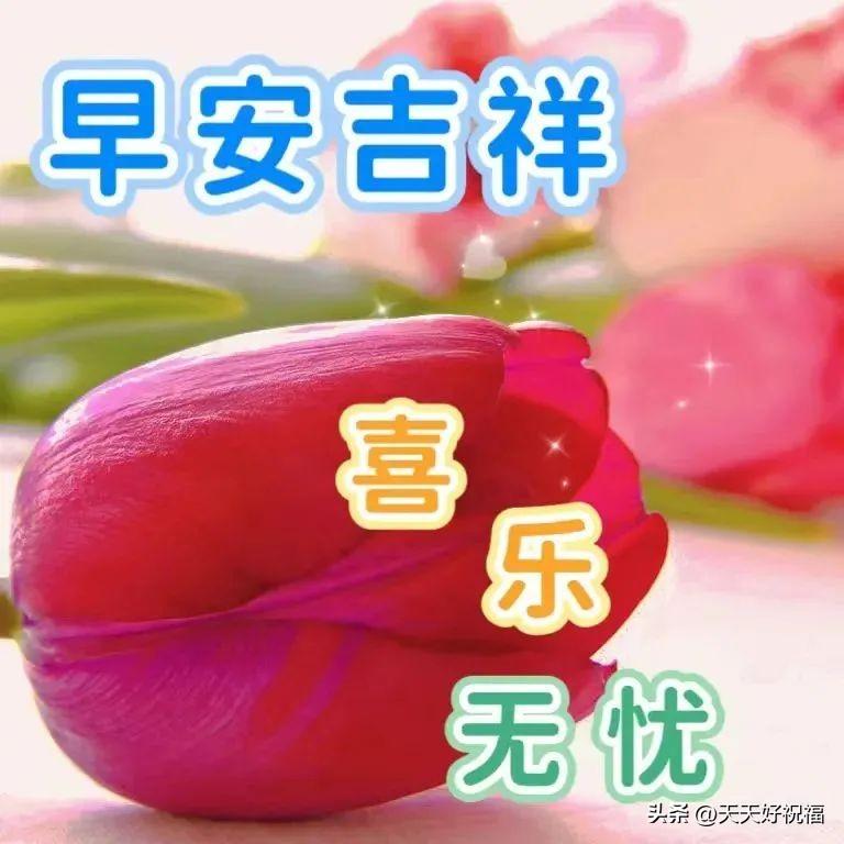 早安问候语_早安祝福语