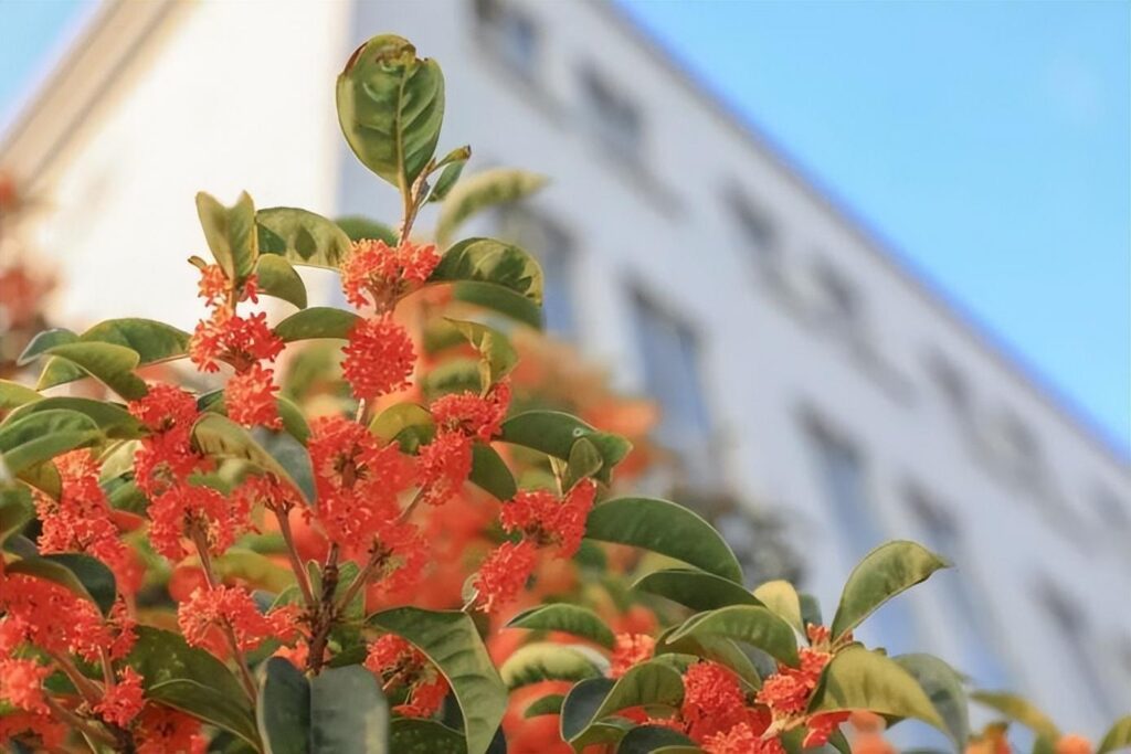 上海大学怎么样_上海大学就业前景