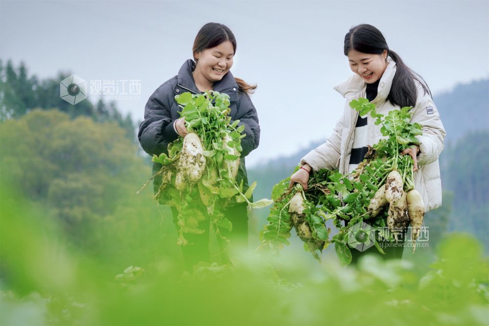 我县驻村第一书记直播带货助力乡村振兴