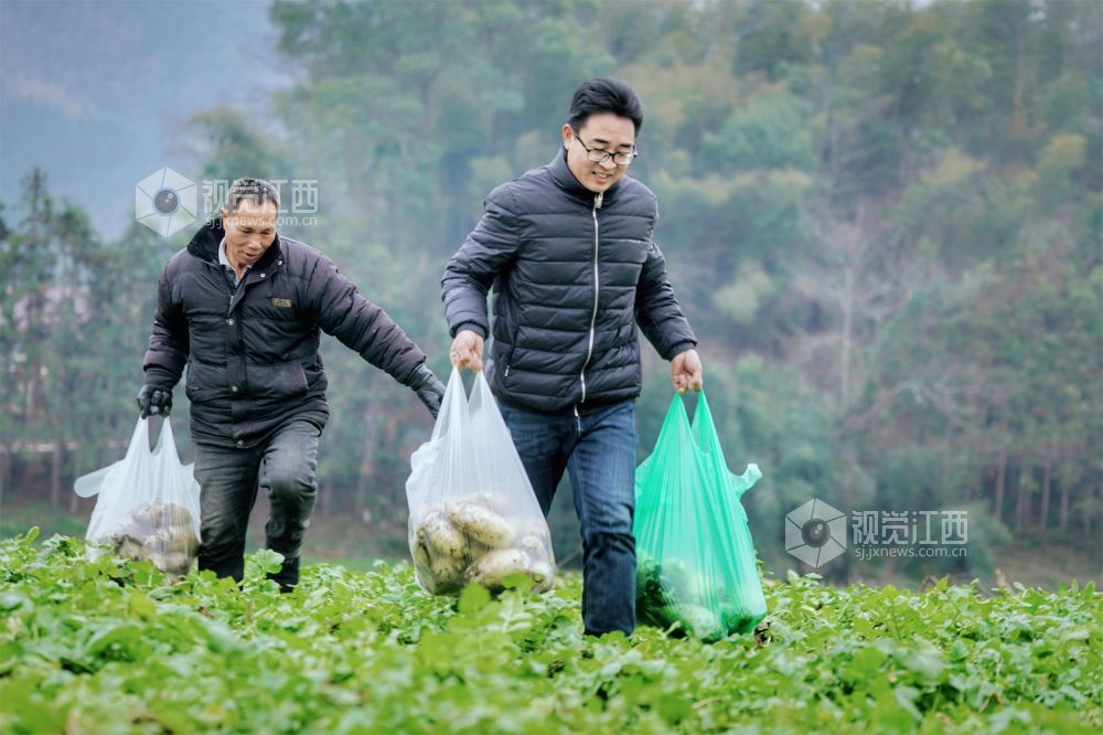 我县驻村第一书记直播带货助力乡村振兴