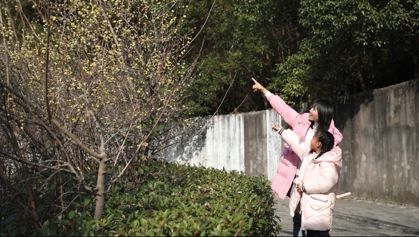 今天，分宜美上央视！花开中国，看见分宜之美~