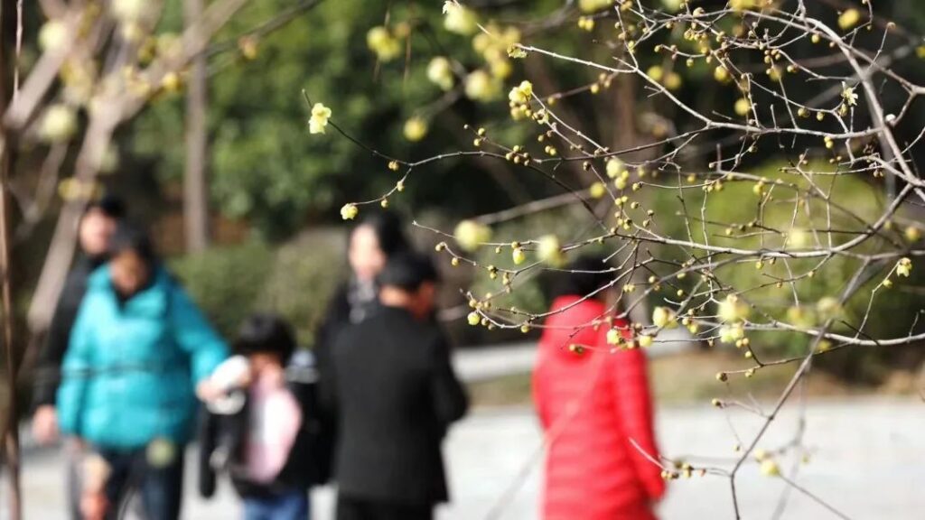 今天，分宜美上央视！花开中国，看见分宜之美~