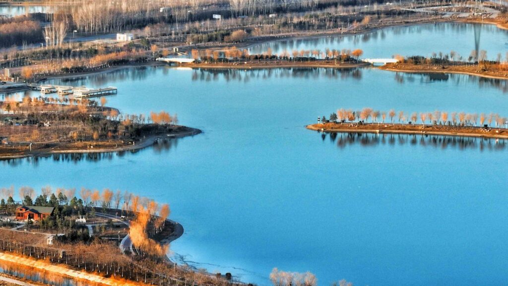 河南兰考：生态湿地 冬景如画