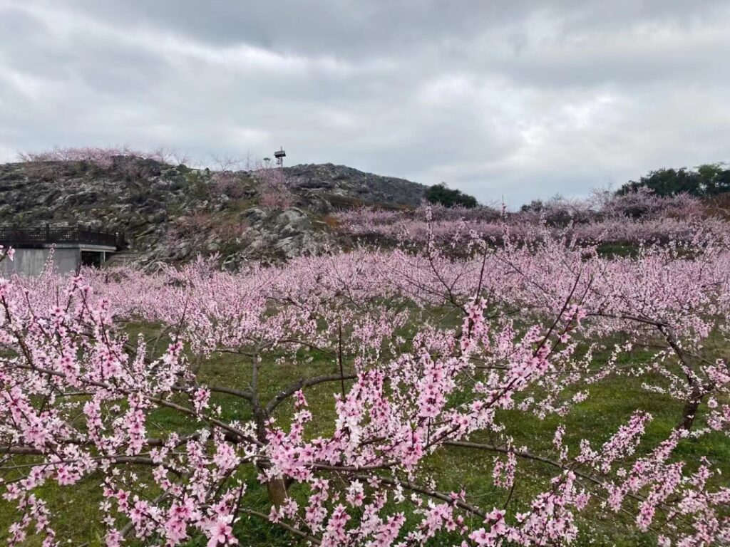 最想去的地方丨寻春记，被这样的常山惊艳到了