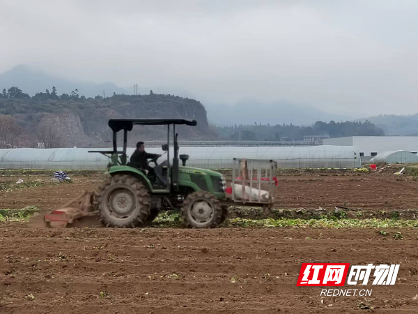 春风入“怀” 万象“耕”新——怀化各地抢抓农时组织春耕生产