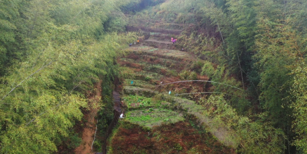 我为群众办实事｜江西崇义：“微田园”解搬迁群众“菜篮子”问题