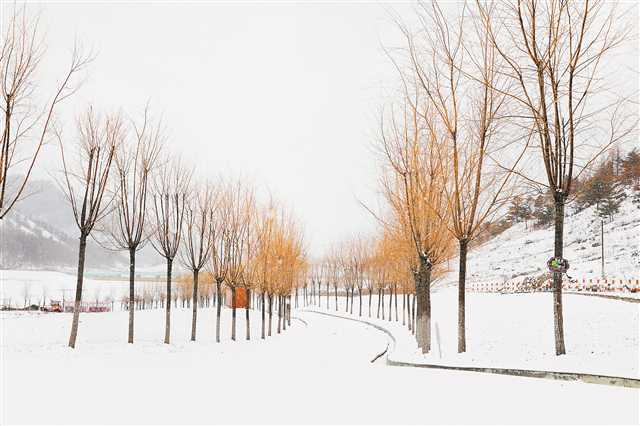 重庆巫溪红池坝迎立春后首场降雪