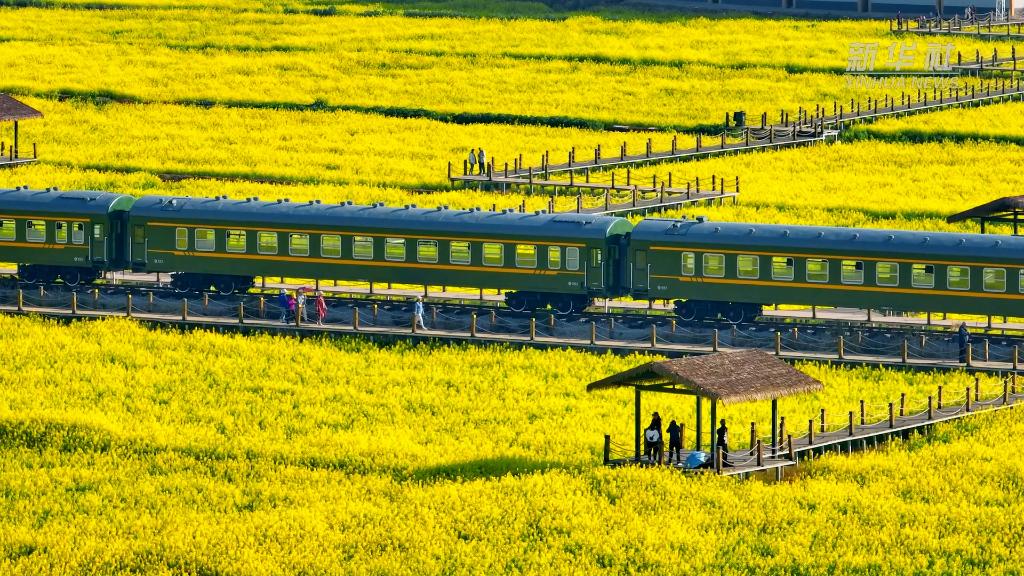 乘春天的火车 去有花的地方