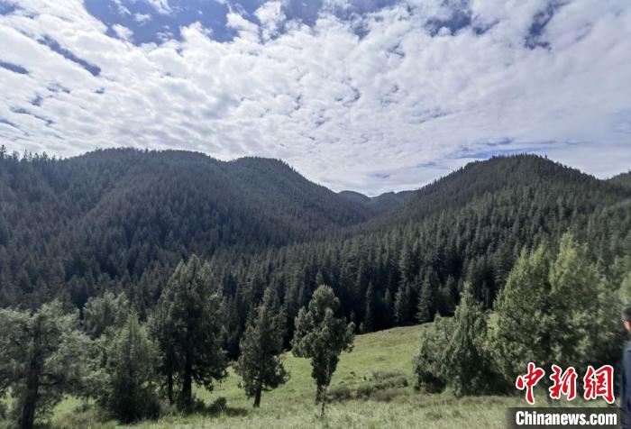 甘肃祁连山区生态环境保护状况趋好：珍贵野生动物频现踪迹