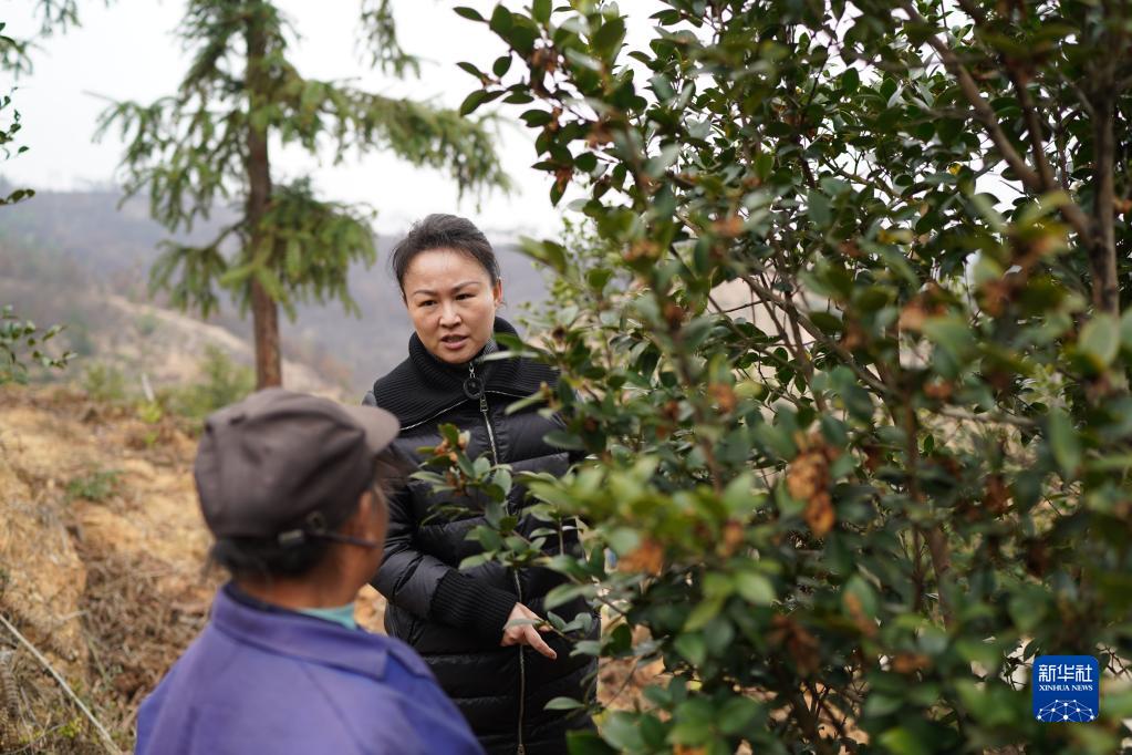 十年两会·温暖记忆｜“讲不完的油茶树故事，道不尽的鱼水情深”