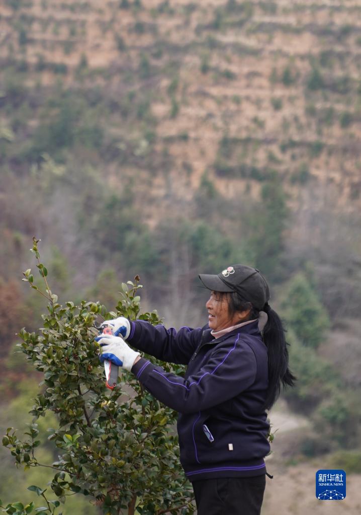 十年两会·温暖记忆｜“讲不完的油茶树故事，道不尽的鱼水情深”